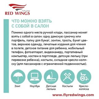 Red wings ручная кладь