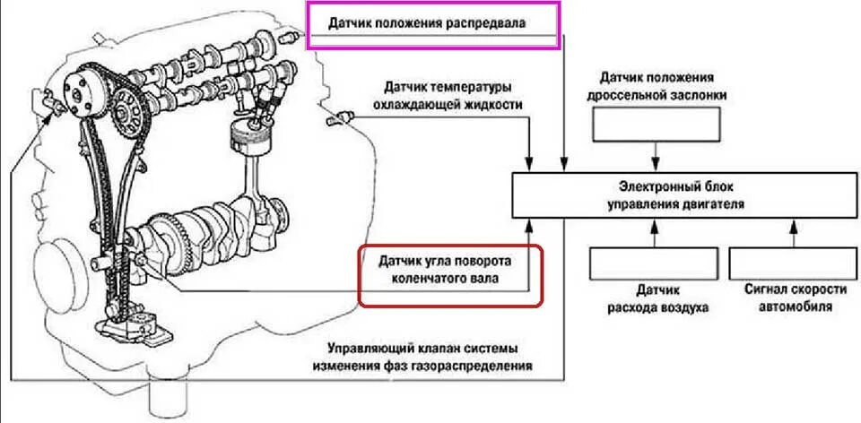 Клапан системы VVTI схема. Схема ДВС Тойота VVT-I. Датчик фаз схема установки. Схема датчика VVT-I.