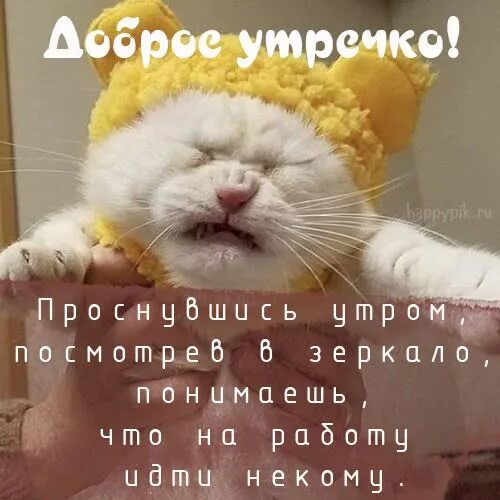 Поднять настроение утром девушке. Прикольные картинки с добрым утром для поднятия. открытки happypik с добрым утром. смешные с добрым утром прикольные для поднятия настроения. картинки с добрым утром ржачные до слез.