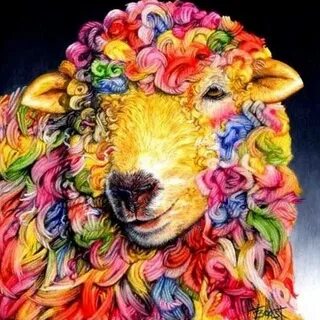 Барашка радужка магазин