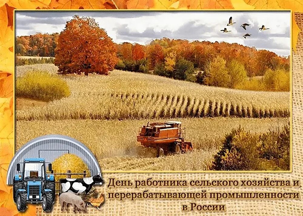 Уважаемые труженики сельского хозяйства и ветераны! Примите светлые и теплые поз