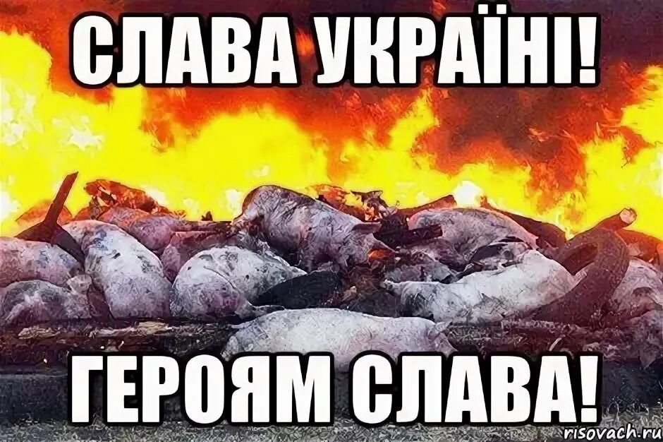 Герой слав мем. Герой слав мем. Мем ди каприо тольятти. Героям слава прикол. Герой слав мем.