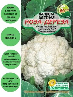 Цветная капуста сорт коза дереза