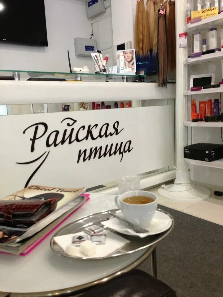 Салон красоты райская птица ярославль. Салон красоты на победе. Коллектив бюро. Птичка ставрополь салон красоты. Райская птица салон красоты.