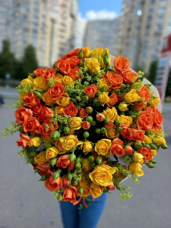 собянин клумбы пластиковые цветы. цветы юго запад. цветы юго запад. кактус echinocereus triglochidiatus. цветы юго запад.