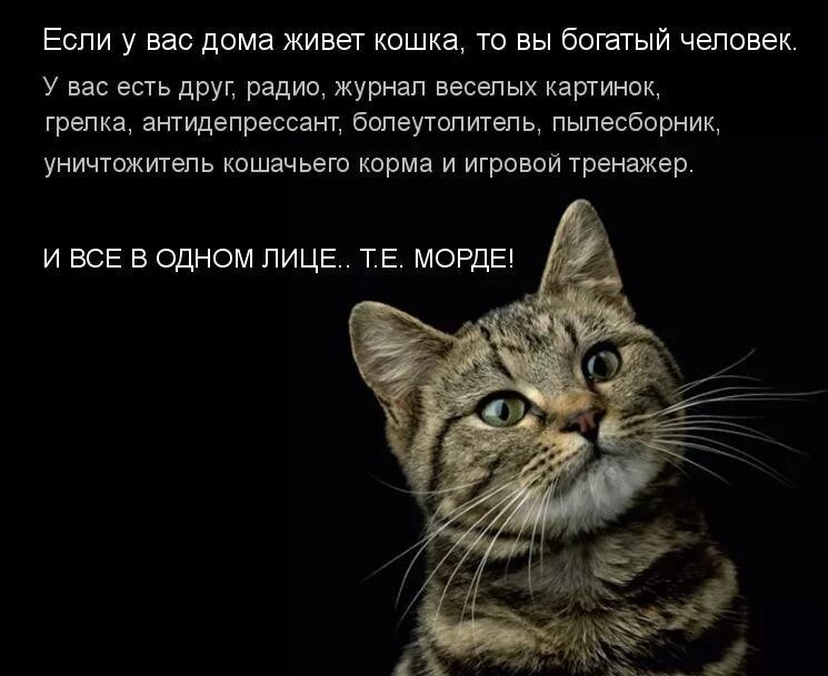 Человек который ненавидит животных