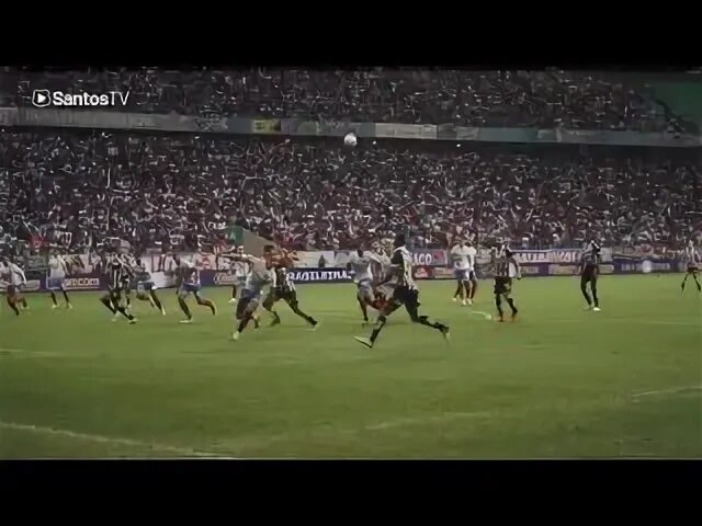 Пас б. Casio pas400b-5v купить. Изи english. English easy practice. Служба артиллерийского снабжения.