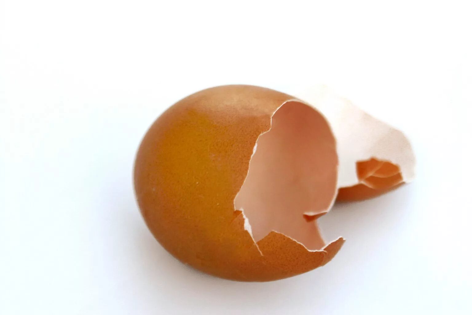 Яйцо трубочка. Скорлупа куриного яйца. Скорлупа яичная. Выеденное яйцо. Скорлупа от яиц.