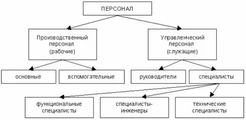 Функциональный специалист