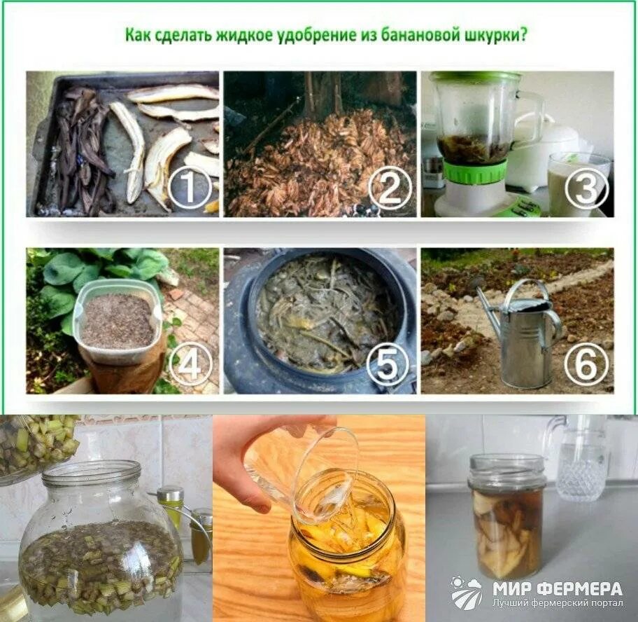 Как сделать банановую подкормку