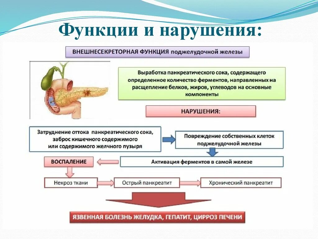 Влияние печени на поджелудочную. Патогенез нарушений функции поджелудочной железы. Функции ферментов поджелудочной железы схема. При нарушении функции поджелудочной железы.. Схема поджелудочная железа инсулин.