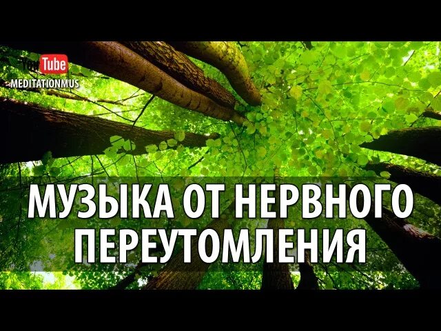 Музыка для успокоения нервной системы детей. Музыкальная релаксация для нервной системы. Релаксация для успокоения нервной. Релакс для успокоения нервной системы. Релакс успокаивающий нервную систему.