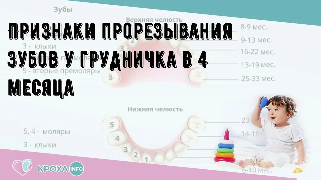 Во сколько месяцев режутся зубы у детей. Симптомы при прорезывании зубов. Прорезывание зубов в 4 месяца.
