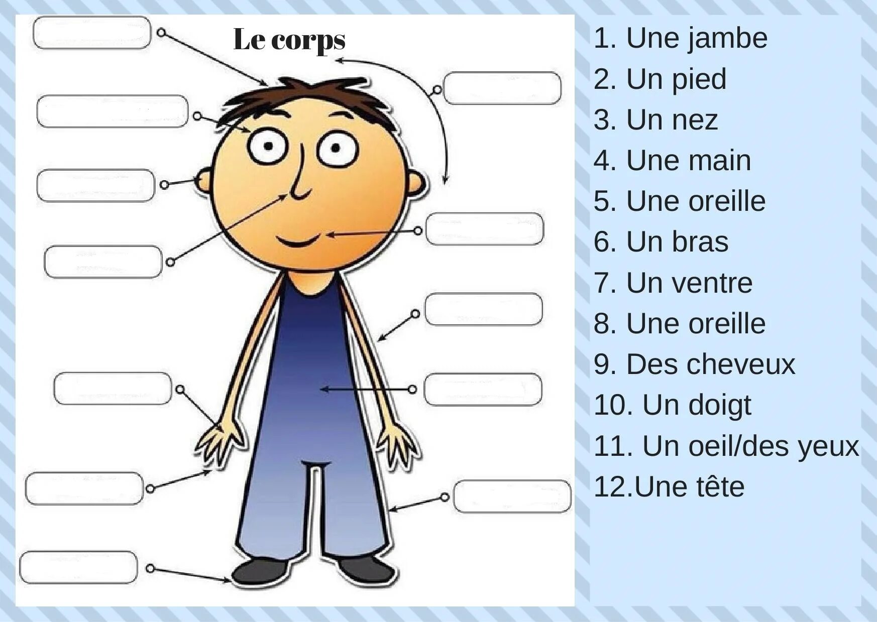 Части тела на французском. Les Parties du Corps упражнения. Части тела на французском в картинках. Части тела на французском языке упражнения. Corps users