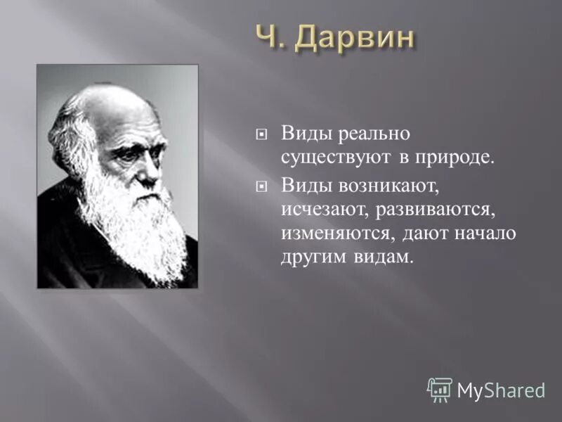 дарвинизм. дарвин о виде. эволюционная теория чарльза дарвина. основные предпосылки возникновения дарвинизма. развитие дарвинизма.