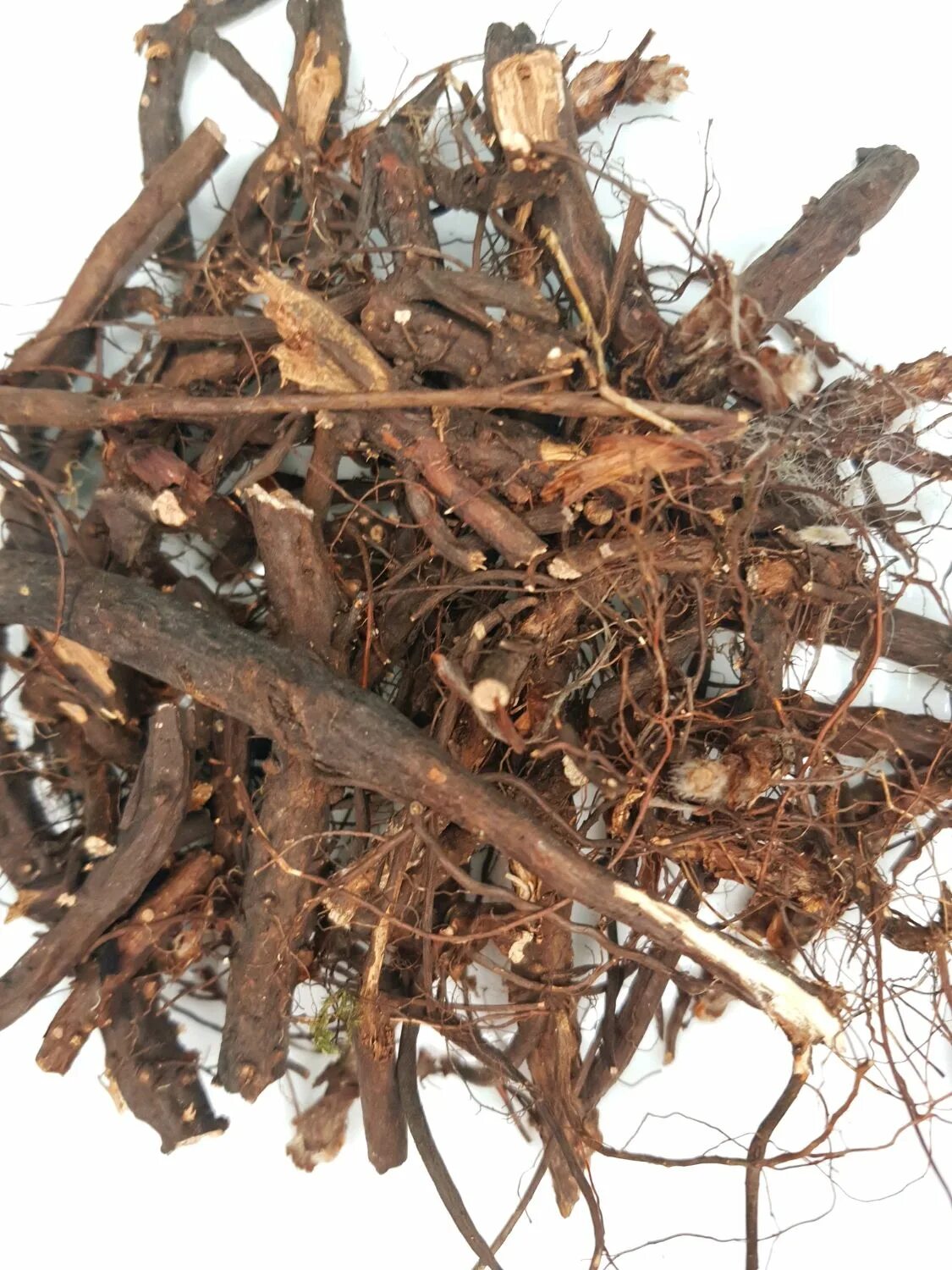 Простые сложные по составу. Кровохлёбка лекарственная корневище. 500/5 корень. Красный корень 500мг таб. Ферула корень.