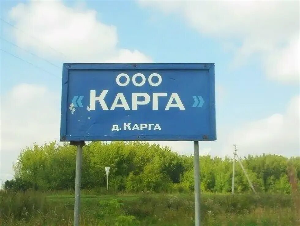 Карга это