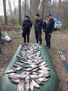 Незаконная добыча водных