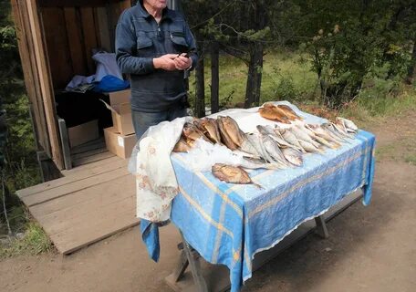 Седаново иркутская область погода
