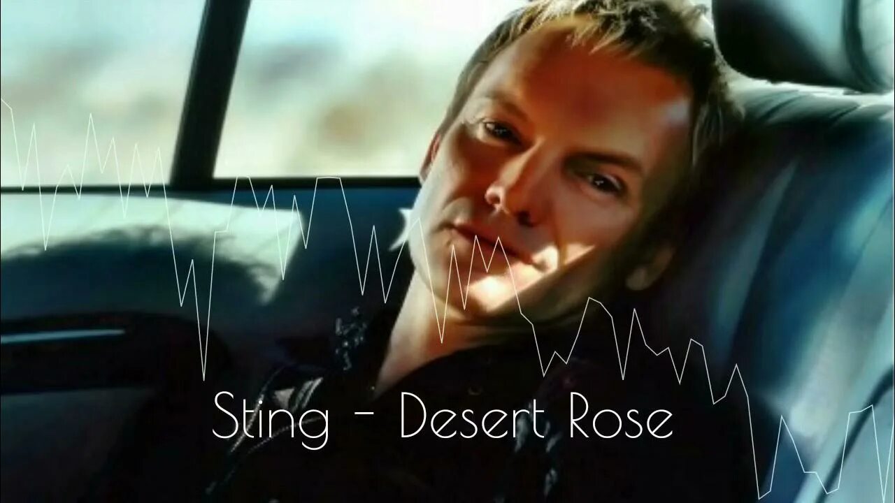 Sting desert rose. Музыка sting desert rose. Desert rose sting клип. Sting and cheb mami. Стинг десерт розе.