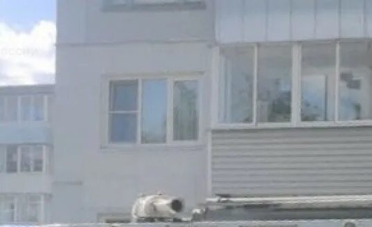 Сдэк кубяка калуга