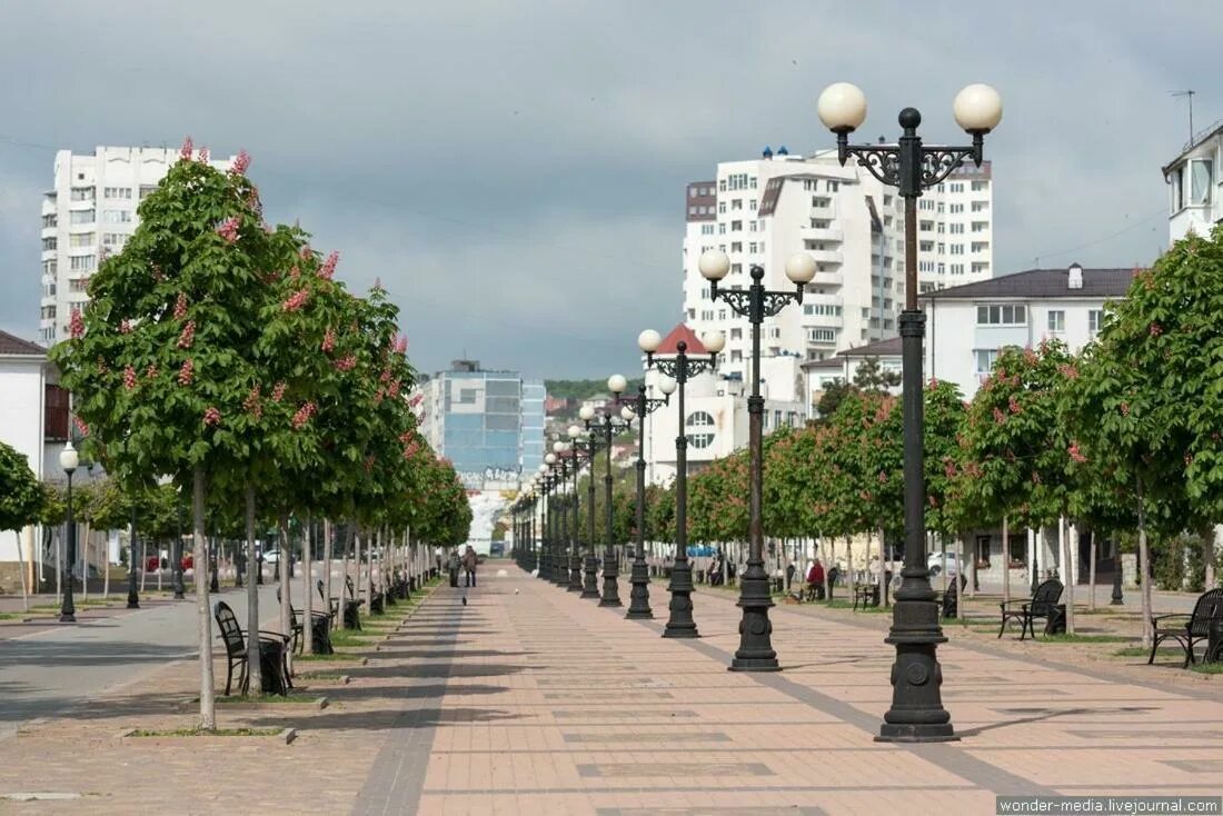 Уфа ул нуриева 14. Черняховского 15 новороссийск. Черняховский новороссийск. Улица черняховского 21 новороссийск. Новороссийск аллея черняховского каштан.