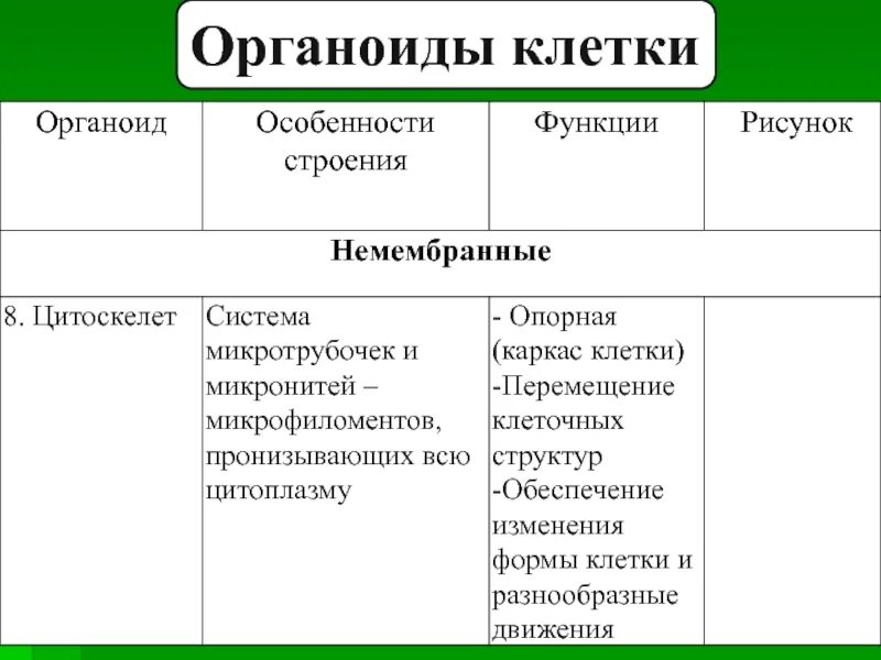 Функции органоидов цитоскелет. Органоиды рибосомы строение и функции таблица. немембранные органоиды клетки таблица цитоскелет. немембранные органоиды клетки строение и функции 9 класс. цитоплазма цитоскелет клеточный центр органоиды движения таблица.