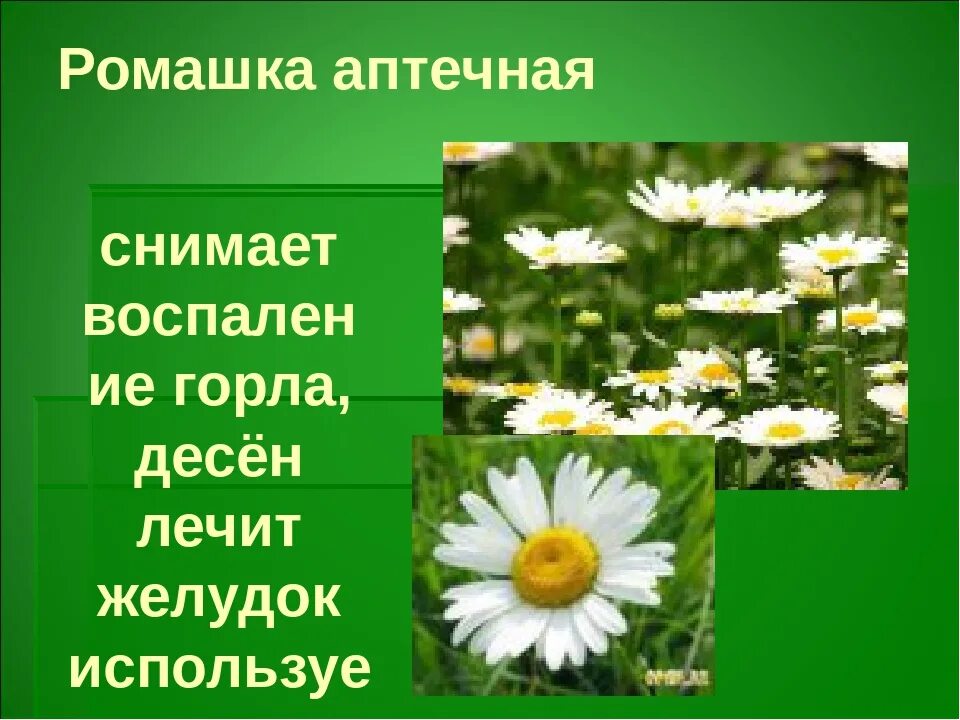 С помощью взрослых познакомьтесь