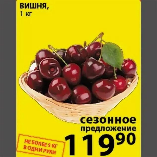 Вишня в пятерочке