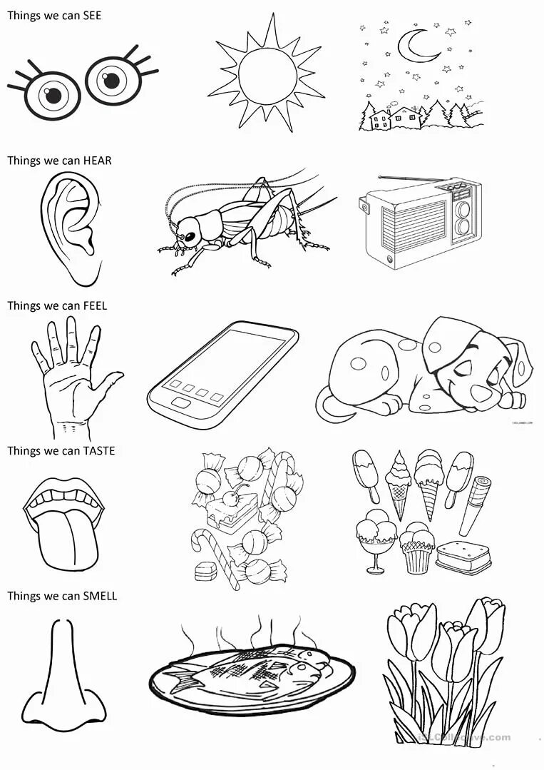 Органы чувств задания. Five senses Worksheet. Органы чувств задания для дошкольников. Органы чувств раскраска. Раскраска органы чувств для детей.