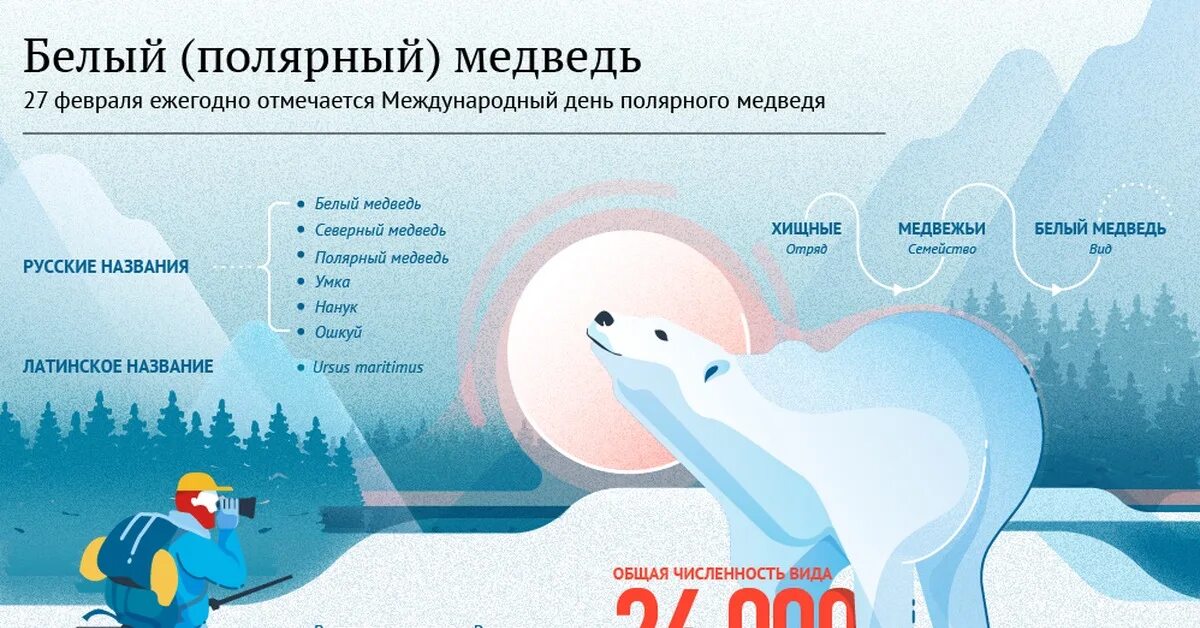 27 февраля праздники в мире. Международный день полярного белого медведя 27 февраля. 27 Февраля в мире отмечается Международный день полярного медведя. День полярного медведя. День белого медведя.