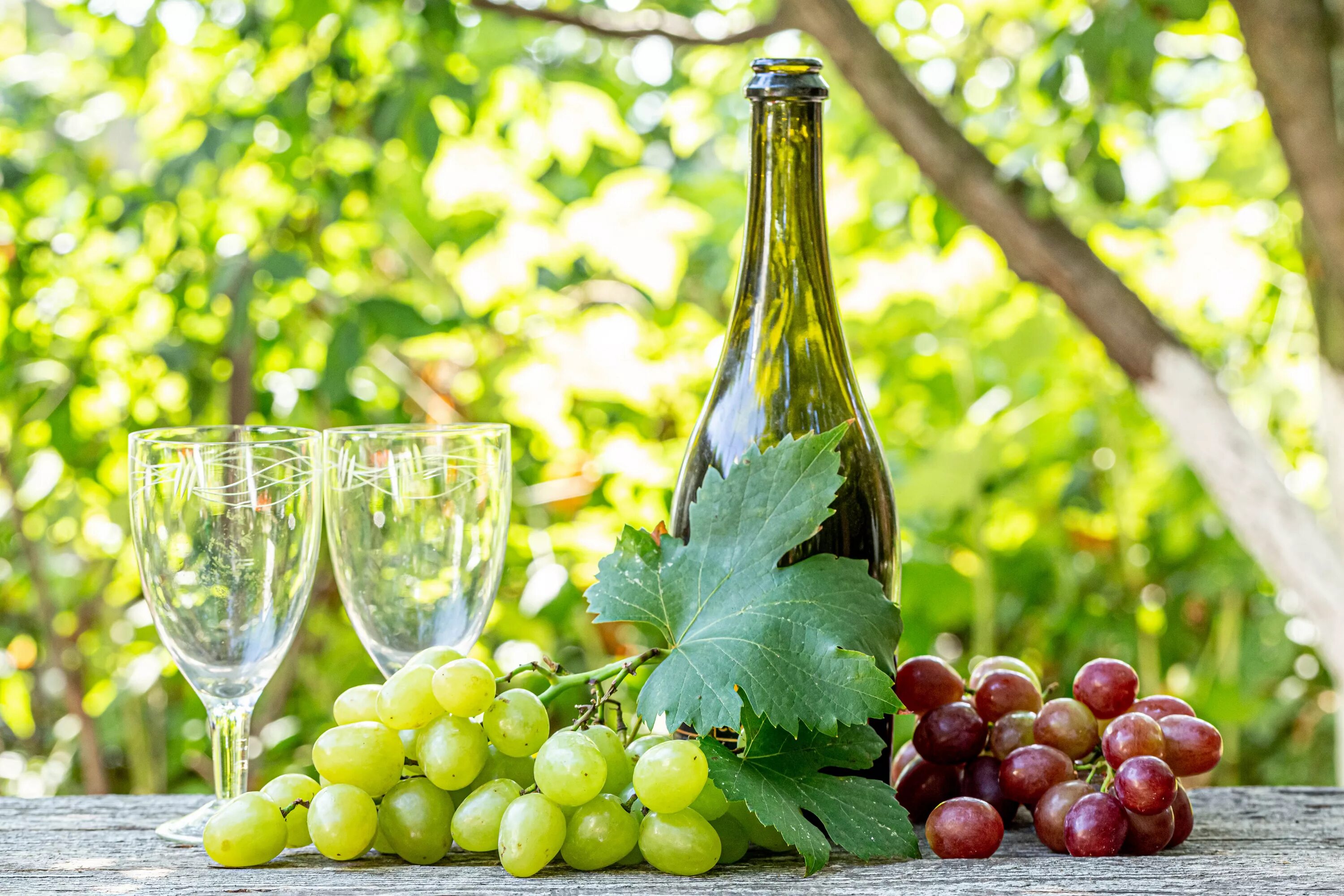 Розовый виноград вино. Вино и виноград. Виноградное вино. Виноградники вино. Шампанское виноград.
