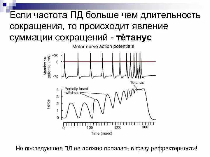 Суммация мышечных сокращений тетанус. Неполная суммация мышечных сокращений. Суммация одиночных мышечных сокращений физиология. График неполной суммации мышечных сокращений. Какой ток вызывает сокращение мышц