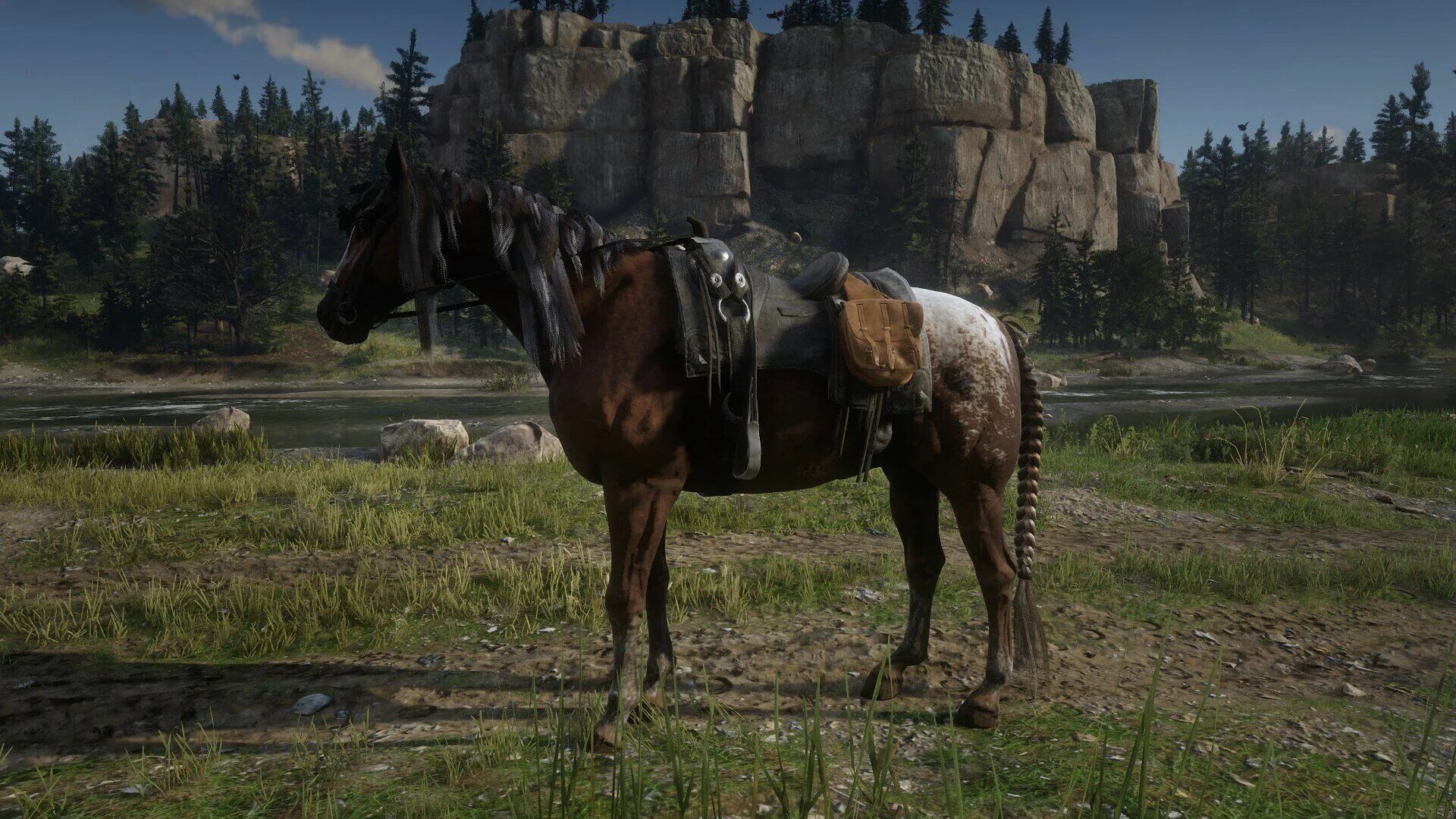 Red Dead Redemption 2 кони. Red Dead Redemption 2 Ахалтекинская Вороная. Red Dead Redemption 2 Horses. Седло Вакеро rdr 2.