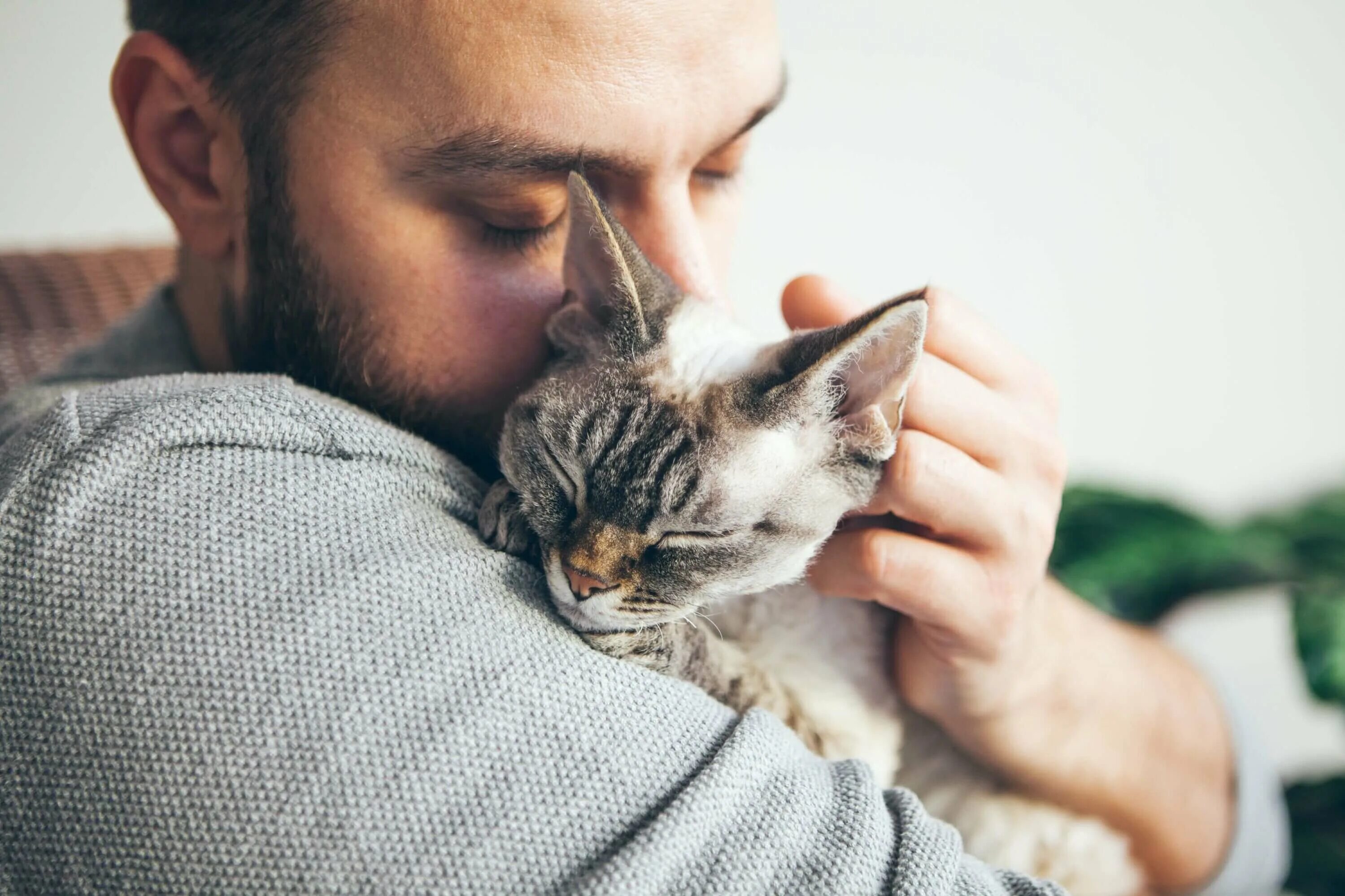 Дом счастливых кошек. Счастливый человек с котом. Мужчина с кошкой.