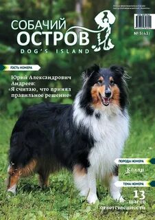 Собачий журнал