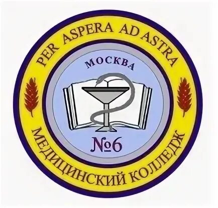 Медицинский колледж no 6. Медицинский колледж 6 сп 4. Трансфузиолог. Медицинский колледж no 6. Медицинский колледж 6 сп 4.