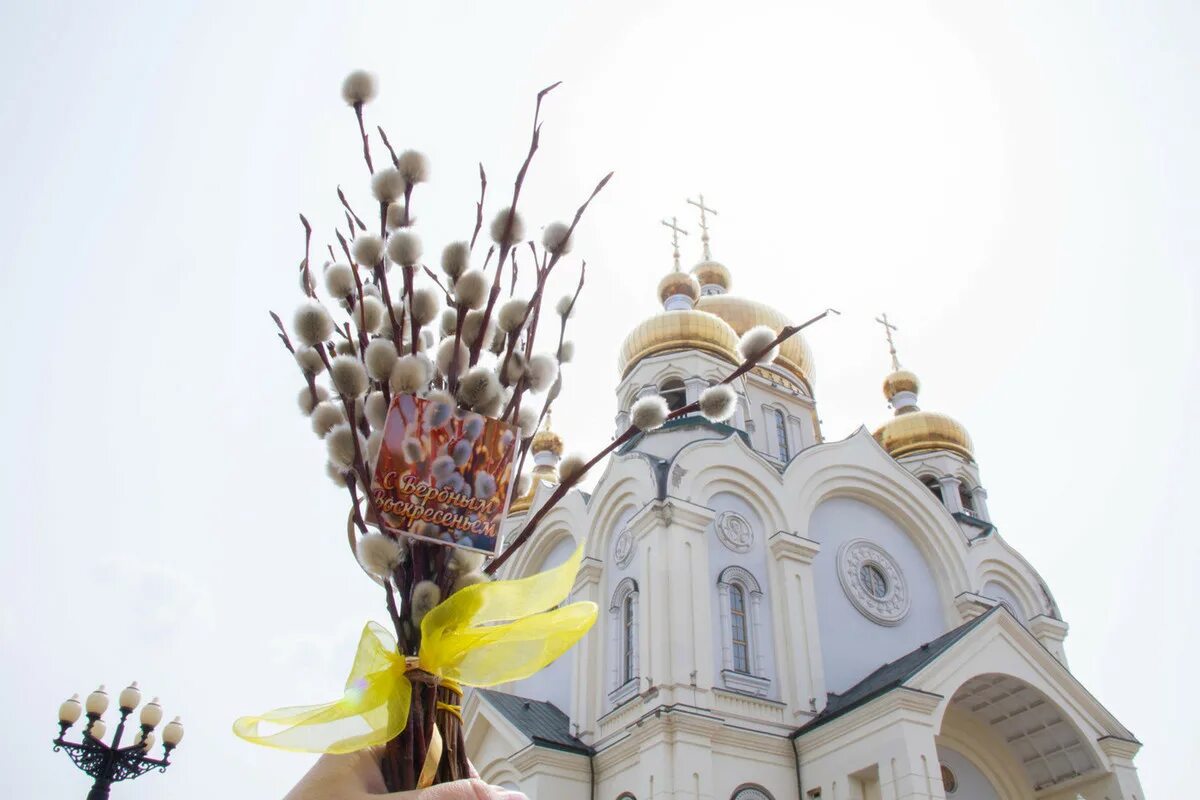 Вербное 2021. Вербное воскресенье традиции и обычаи. Пальмовые ветви на Вербное воскресенье. Вербная неделя в славянской традиции. Вербная неделя в 2024 году у православных