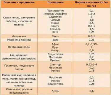 Можно ли обработать малину железным купоросом осенью