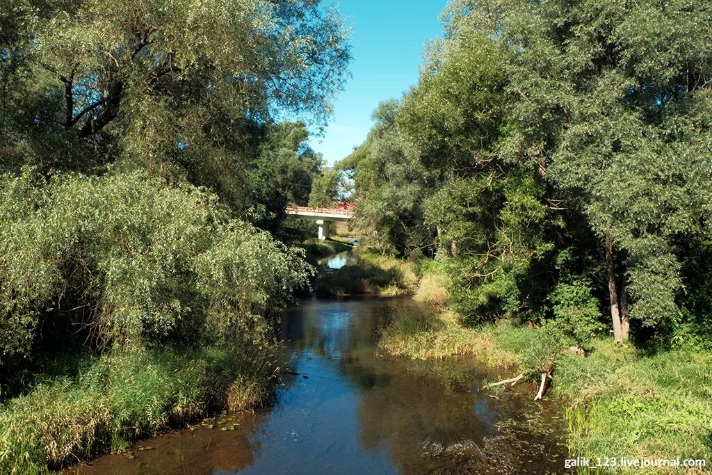 река карижа малоярославец. река лужа калужская область малоярославецкий. река лужа в малоярославце. малоярославец речка. река лужа калужская область.