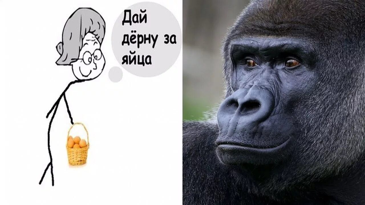 Игра тянем потянем. Давайте потянем. Экономика карикатура. Ищу жену прикольные объявления. Таблички для дальнобойщиков.