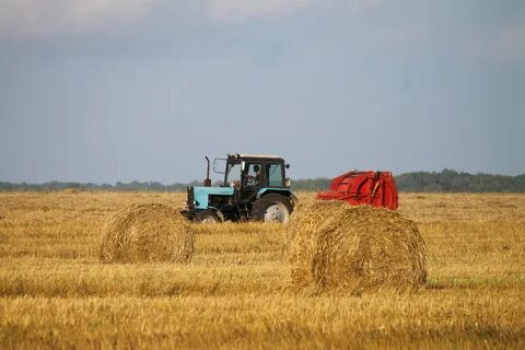 Сельские работы в поле