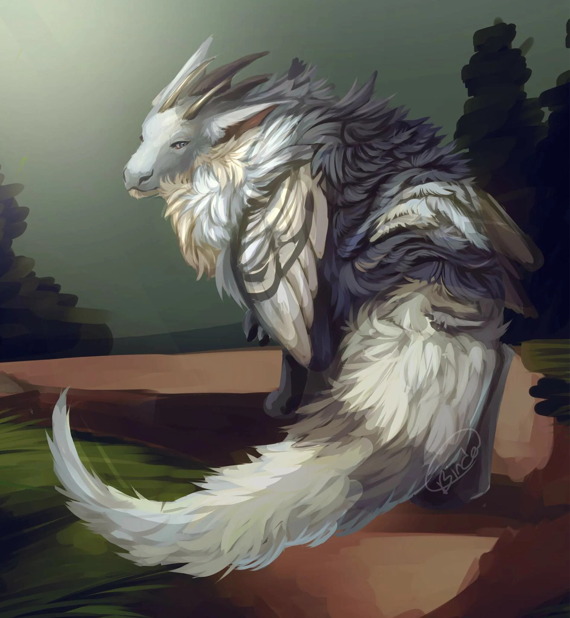 гебридский чёрный дракон. страшный дракон. драгон адвенчер. D&d черный дракон. радидон dragon adventures.