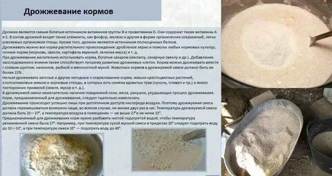Кормовые дрожжи сколько давать курам