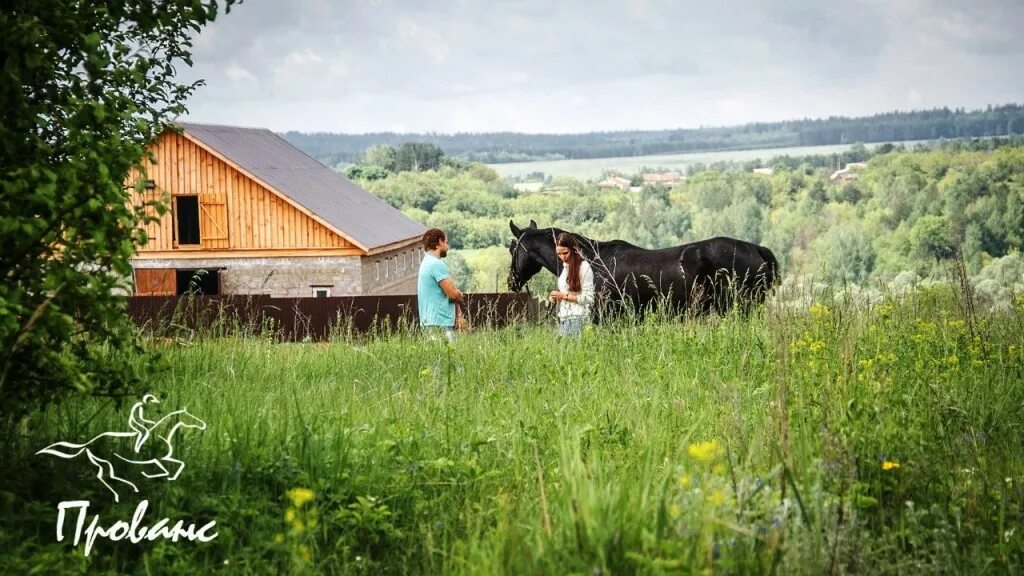 Прованс клуб. Прованс КСК конюшни. Конюшня в Ясенево Прованс. Конный клуб Прованс с Старая Бинарадка. Бинарадка Самарская область конюшня.