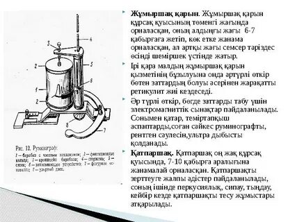 Бисексуалды секс туралы бейнелерді қараңыз