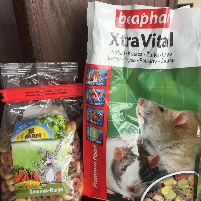 Можно давать крысам сыр