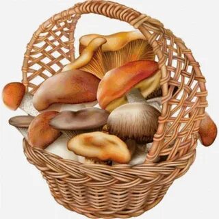 Корзинка с грибами картинки для детей