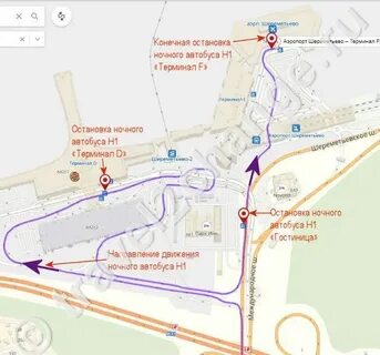 851 автобус москва шереметьево расписание