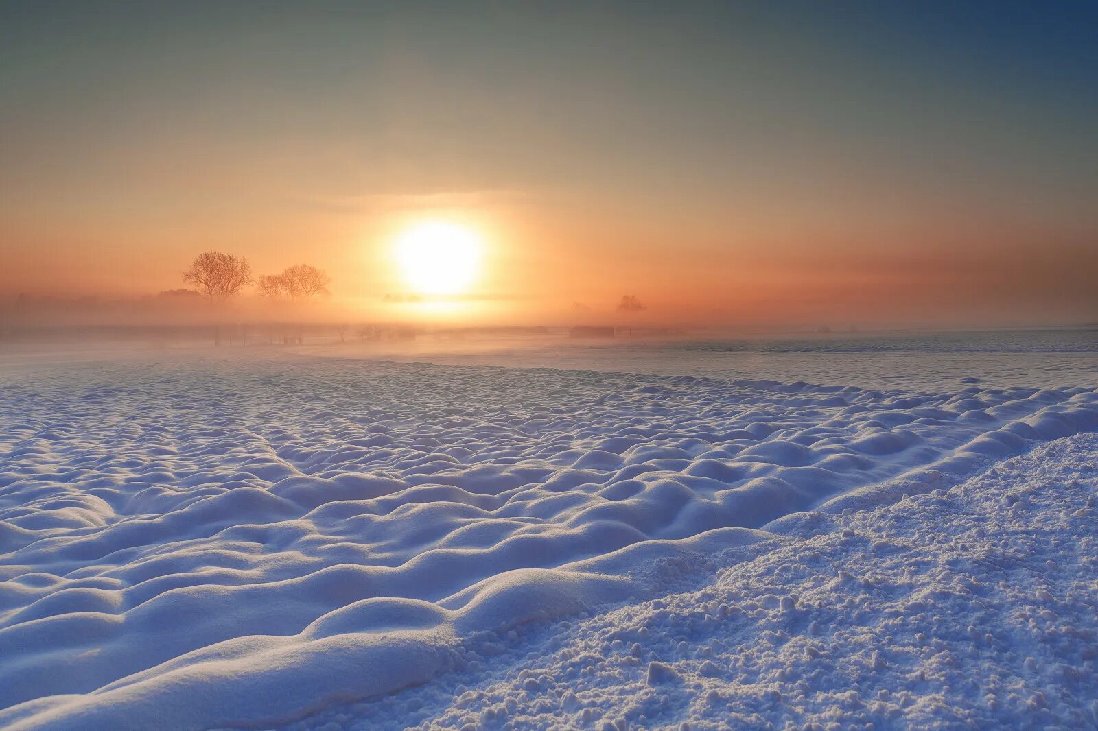 Снег поле. Зимнее поле. Заснеженное поле. Зимнее поле. Пшеница под снегом.